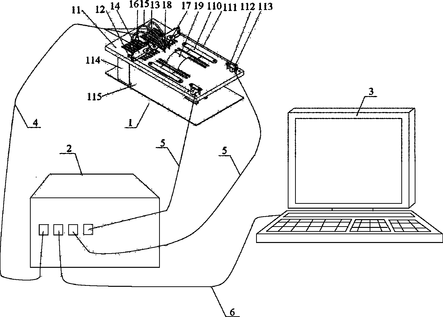 System for determining functions of lower limb nerves and muscles of rat