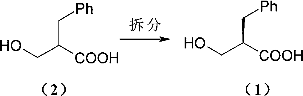 Process of resolving optical isomer of 2-hydroxmethyl-3-phenylpropionic acid