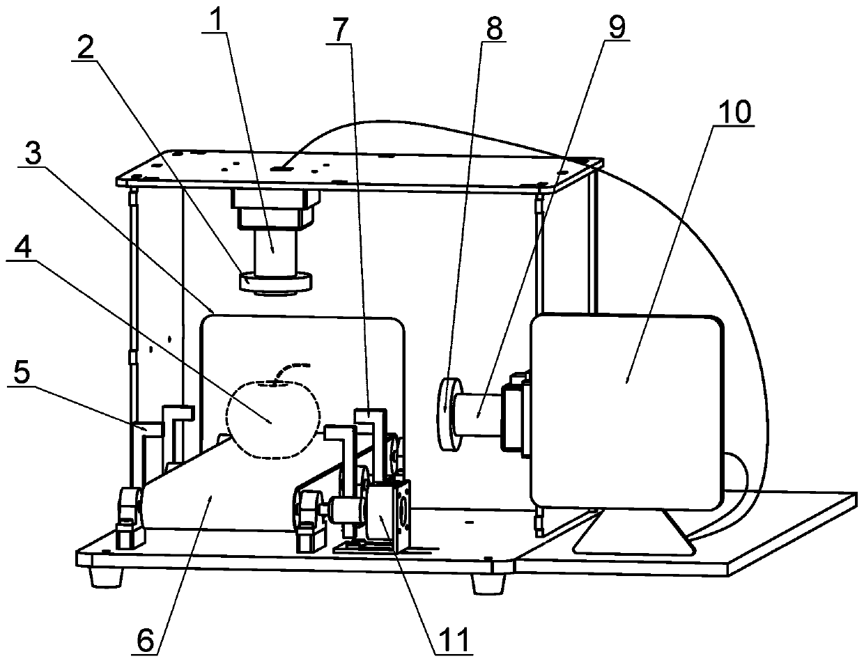 Fruit grading device based on orthogonal binocular machine vision