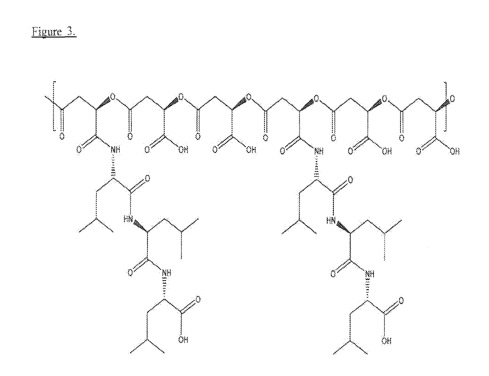 Poly(beta malic acid) with pendant leu-leu-leu tripeptide for effective cytoplasmic drug delivery