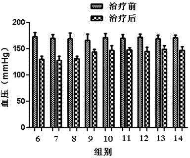 Compound antihypertensive preparation and application of compound antihypertensive preparation