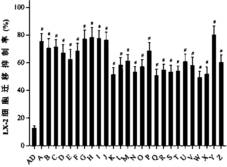 Application of andrographolide derivatives and their 3,19 esters in the preparation of anti-hepatic fibrosis drugs