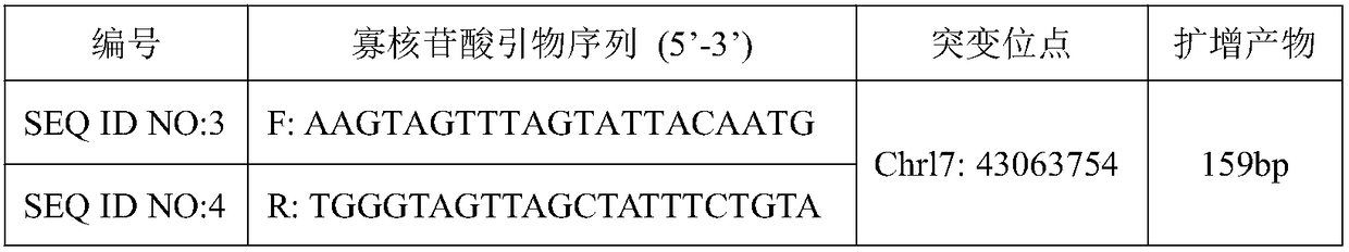 BRCA1 gene g. 43063754T)G mutant and application thereof in breast cancer auxiliary diagnosis