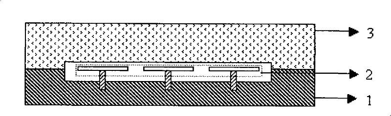 Thermo-optical infrared detector and preparation method thereof