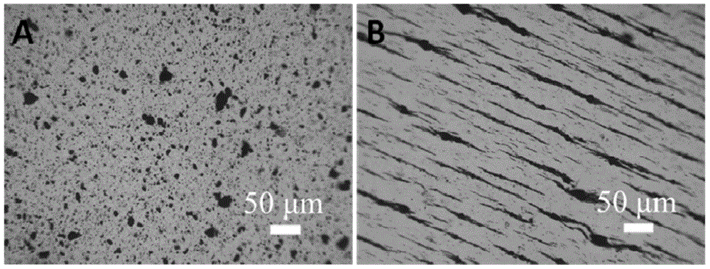 Preparation method and application of PDMS (polydimethylsiloxane)-magnetic nano-particle composite optical film