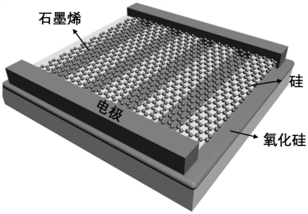 Broadband photoelectric detector based on graphene homojunction and preparation method of broadband photoelectric detector