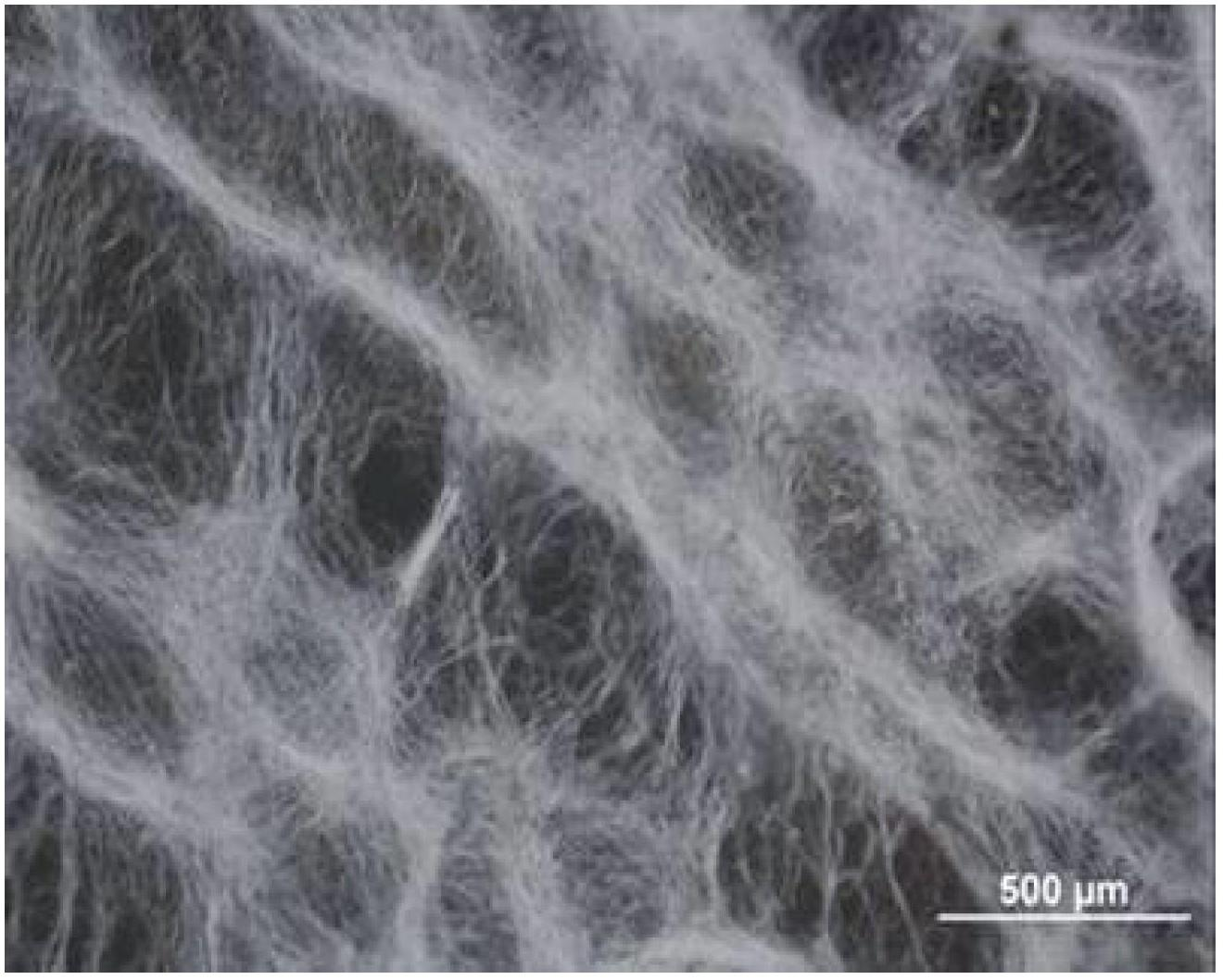 Method for preparing patterning nanofiber membrane by utilizing insulating receiving template static spinning