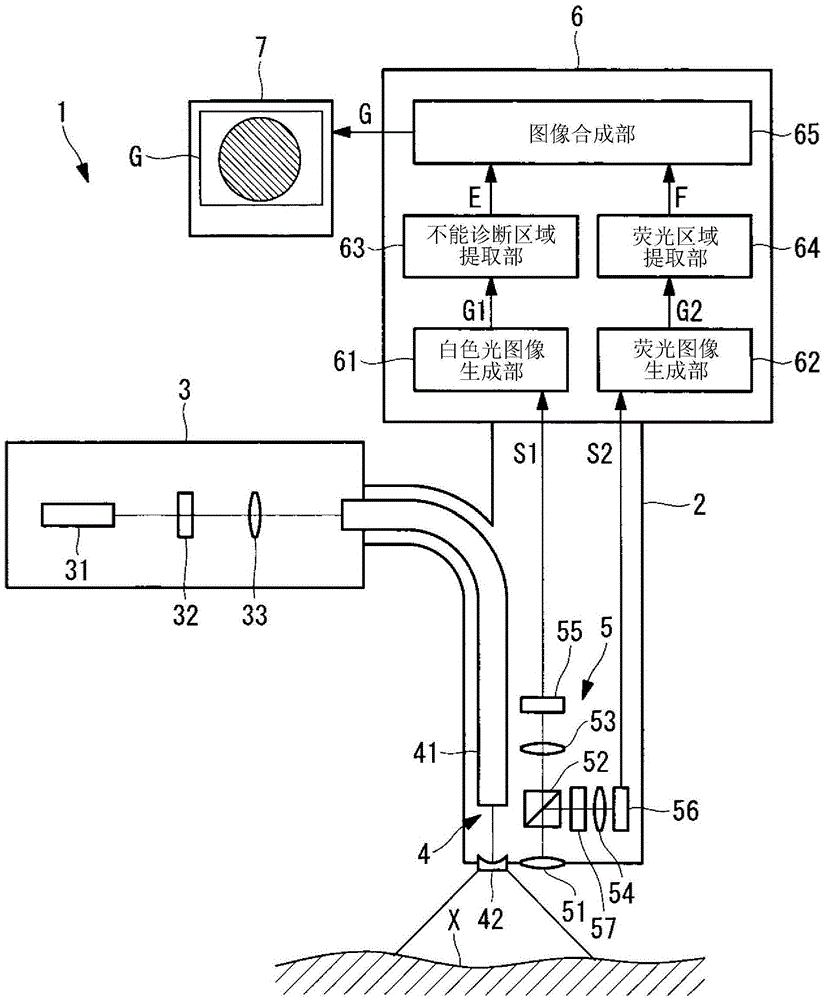 Fluorescence Observation Device and Fluorescence Observation System