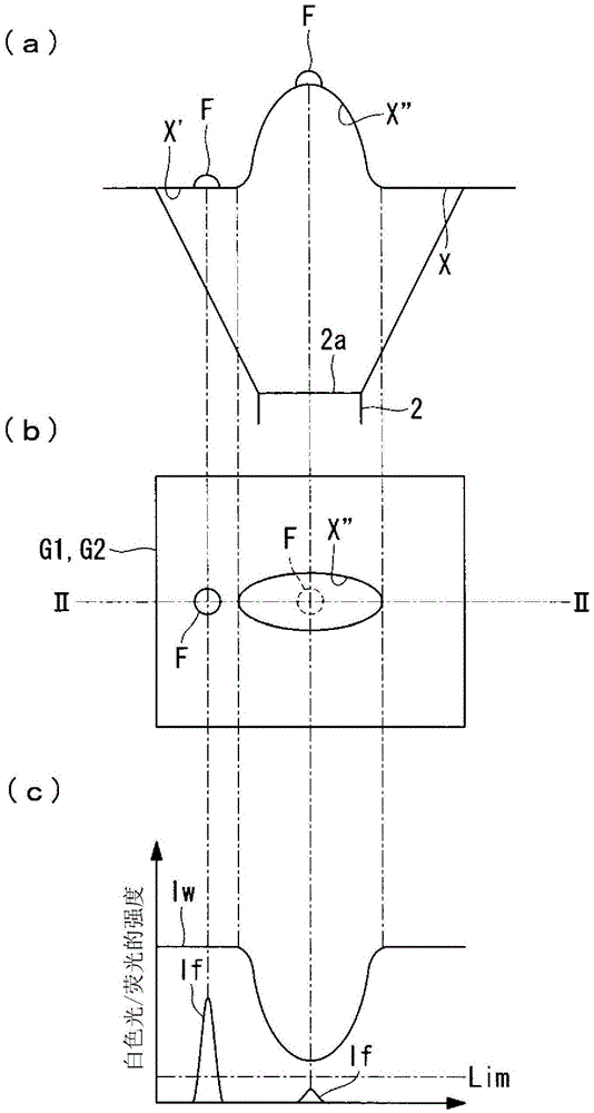 Fluorescence Observation Device and Fluorescence Observation System