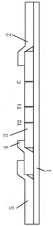 Novel combined detection test strip for novel coronal and respiratory syncytial virus antibodies