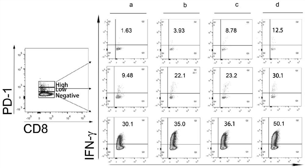 Application of GSH combined with PD-1/PD-L1 blocking agent for promoting CD8+T cell functions