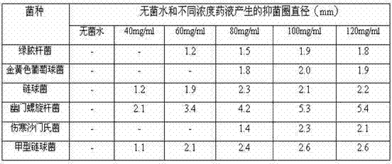 A kind of traditional Chinese medicine compound mouthwash and preparation method thereof