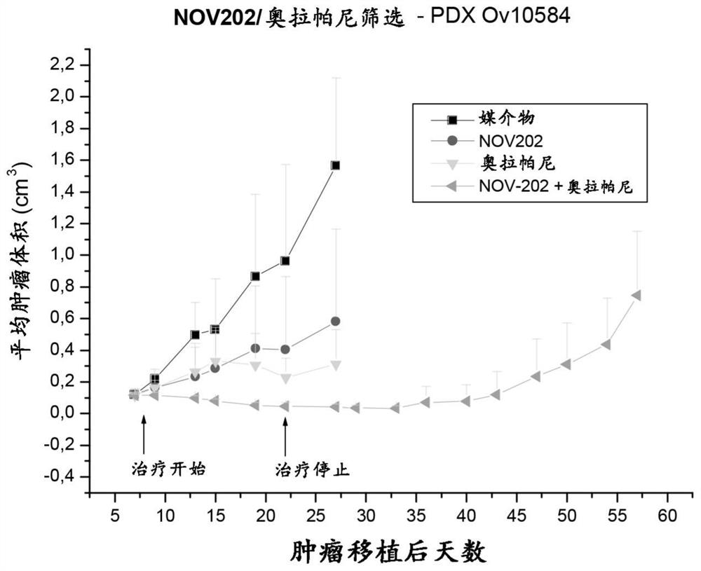 Novel combinations of a tubulin polymerization inhibitor and a poly (adp-ribose) polymerase (PARP) inhibitor for use in the treatment of cancer