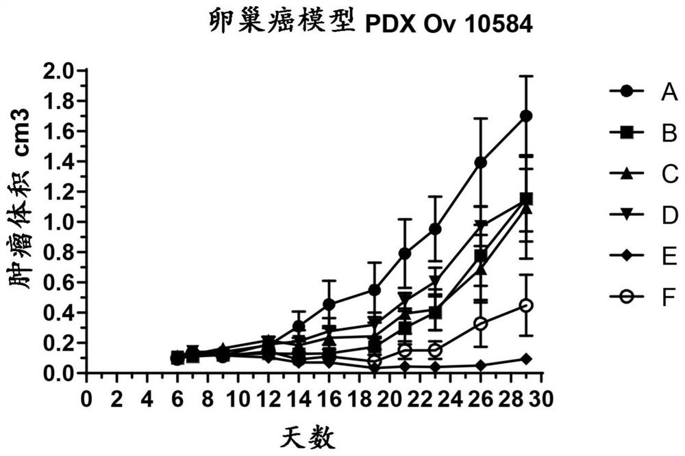 Novel combinations of a tubulin polymerization inhibitor and a poly (adp-ribose) polymerase (PARP) inhibitor for use in the treatment of cancer