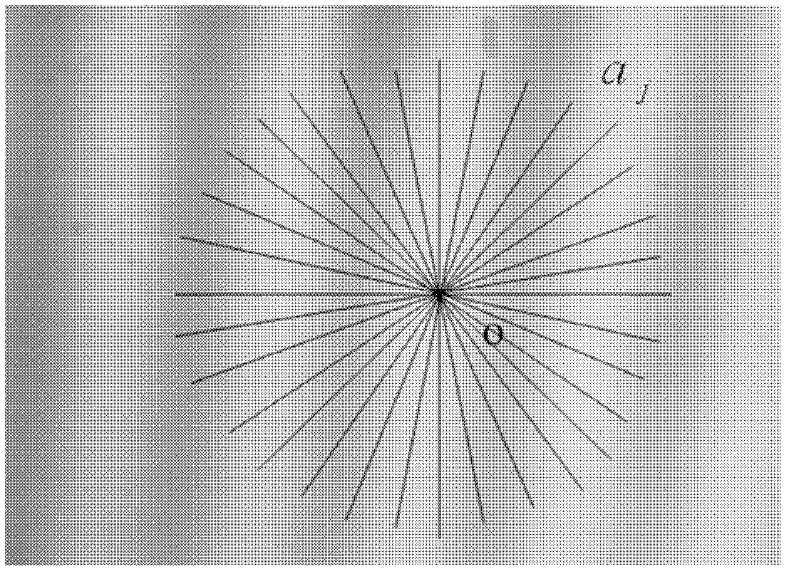 Device for obtaining width of Moire fringe by using image processing technology