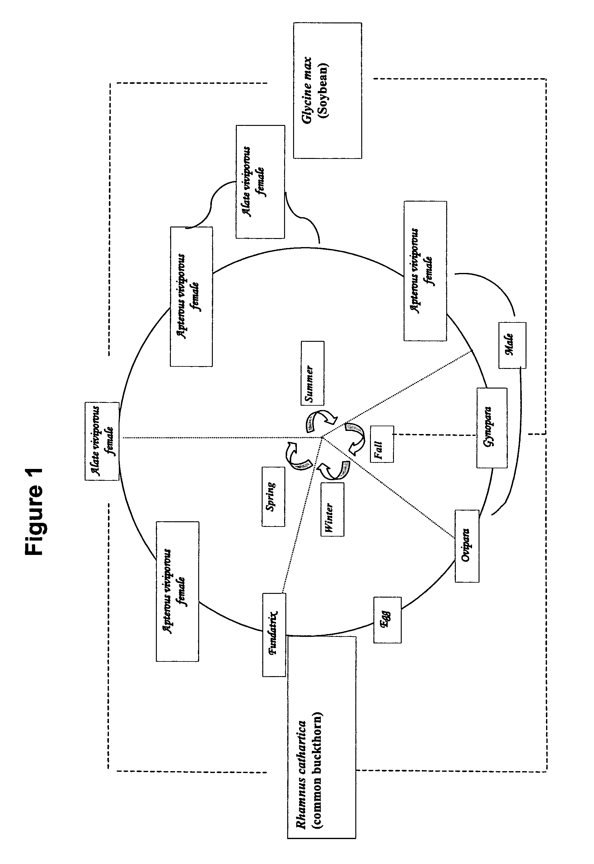 Method for soybean aphid population suppression and monitoring using aphid- and host-plant-associated semiochemical compositions