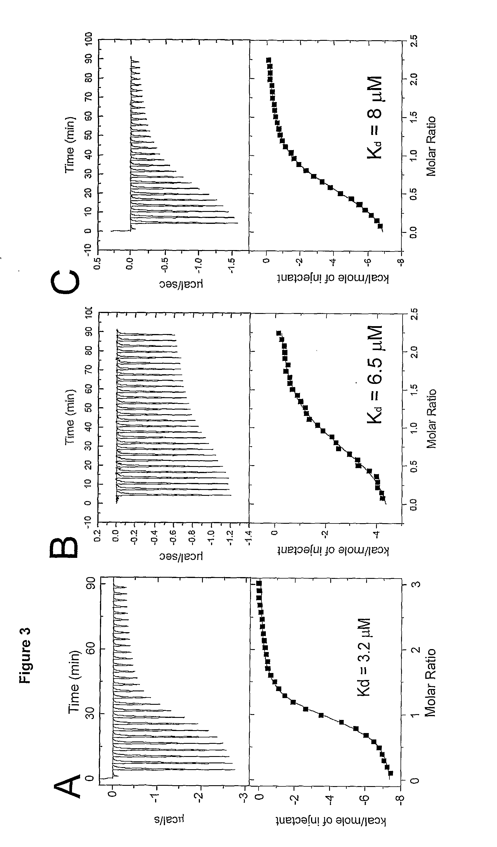 Albumin binding molecules and uses thereof