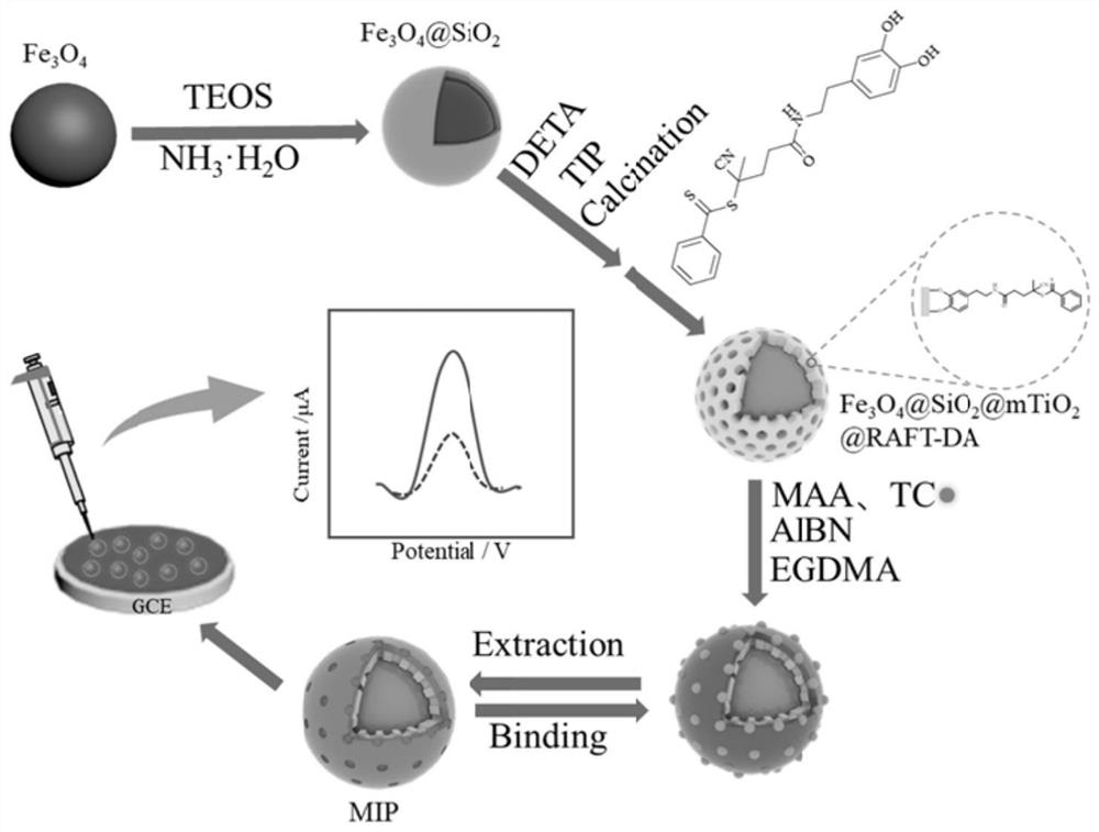 Molecularly imprinted electrochemical sensor based on magnetic mesoporous titanium dioxide material as well as preparation method and application of molecularly imprinted electrochemical sensor