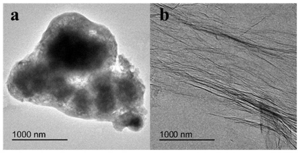Molecularly imprinted electrochemical sensor based on magnetic mesoporous titanium dioxide material as well as preparation method and application of molecularly imprinted electrochemical sensor