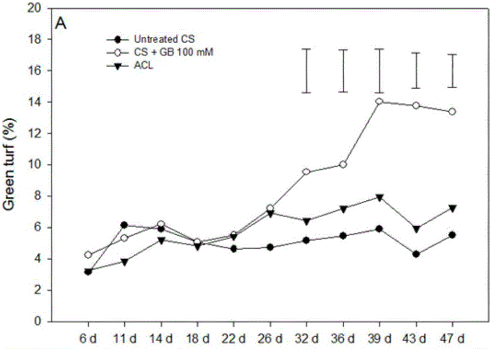 Application of GB (glycine betaine) in promoting turfgrass revival and prolonging green period