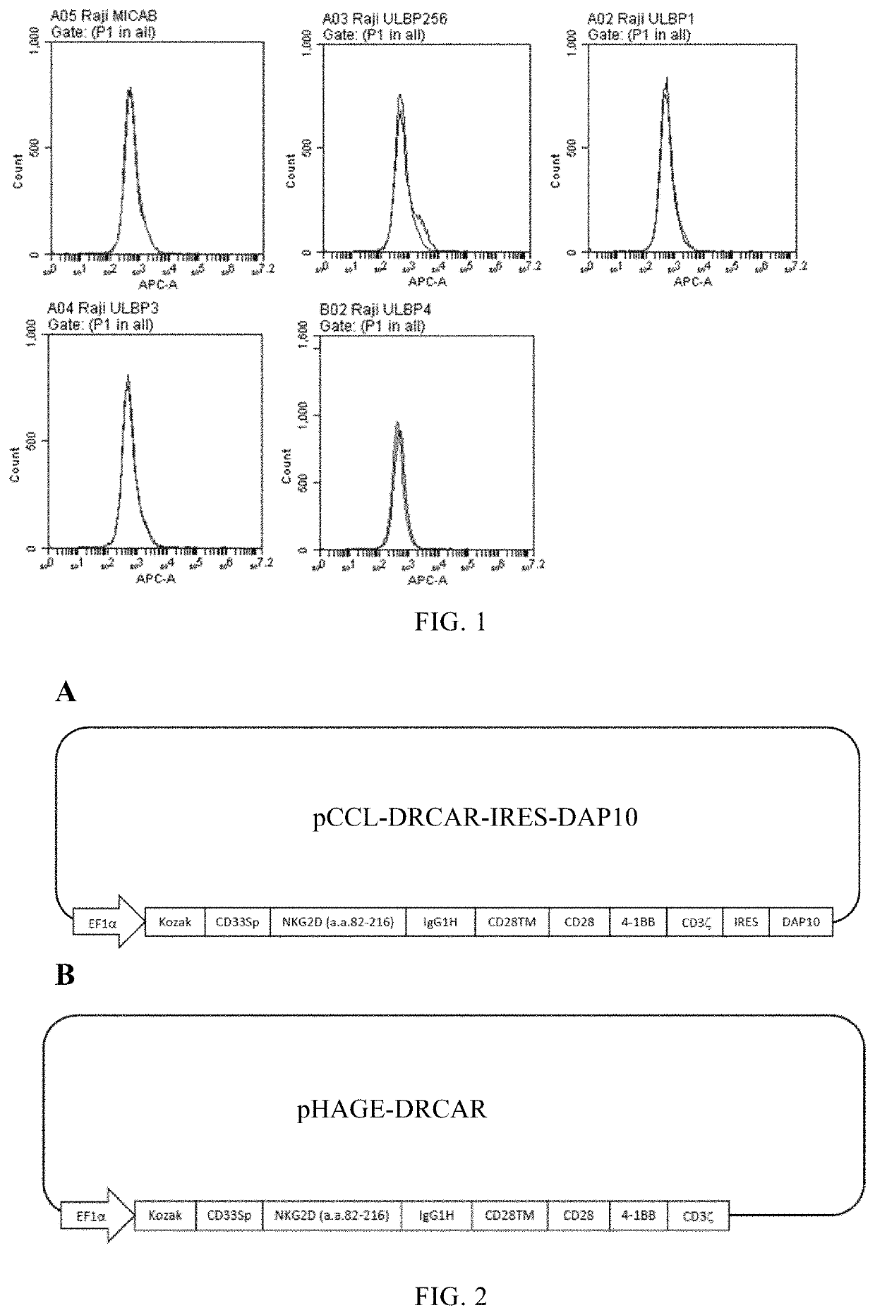 Chimeric Antigen Receptor and Method for Treating Cancers