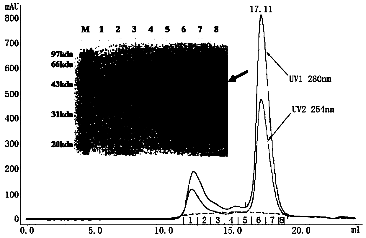 Rift valley fever virus humanized monoclonal antibodies and application thereof
