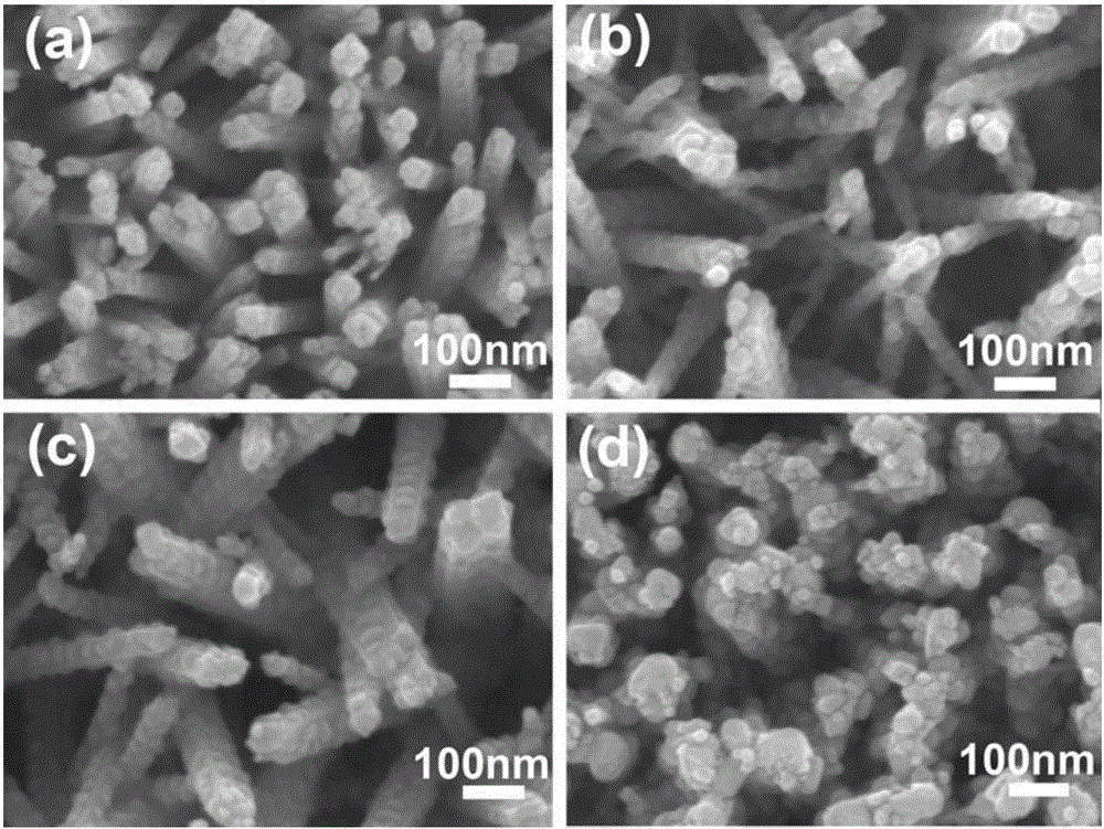 TiO2/BiVO4 photo-anode material and preparation method thereof