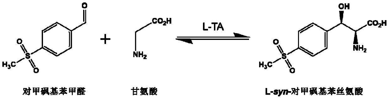 L-threonine aldolase mutant, gene and method for preparing L-syn-p-methylsulfonylphenylserine