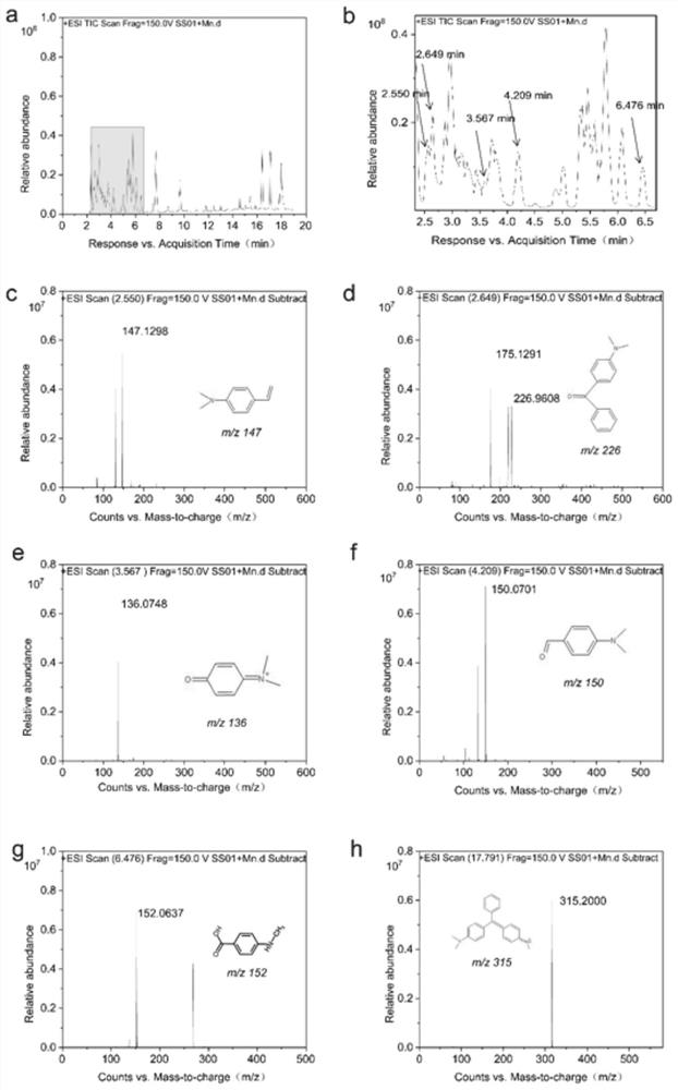 Pantoea and bacterium manganese mixture and application of bacterium manganese mixture in degradation of malachite green