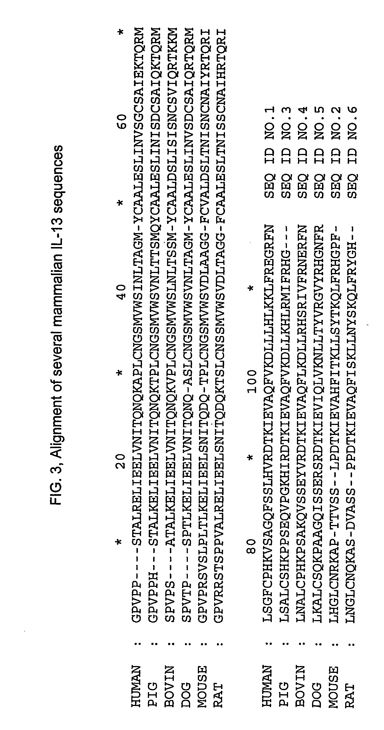 Vaccine comprising il-13 and an adjuvant