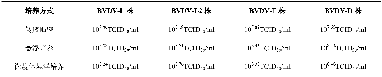 Bovine viral diarrhoea virus inactivated vaccine and preparation method thereof