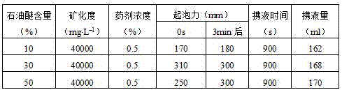 Foam scrubbing agent with gas condensate resistance and salt resistance and preparation method of foam scrubbing agent
