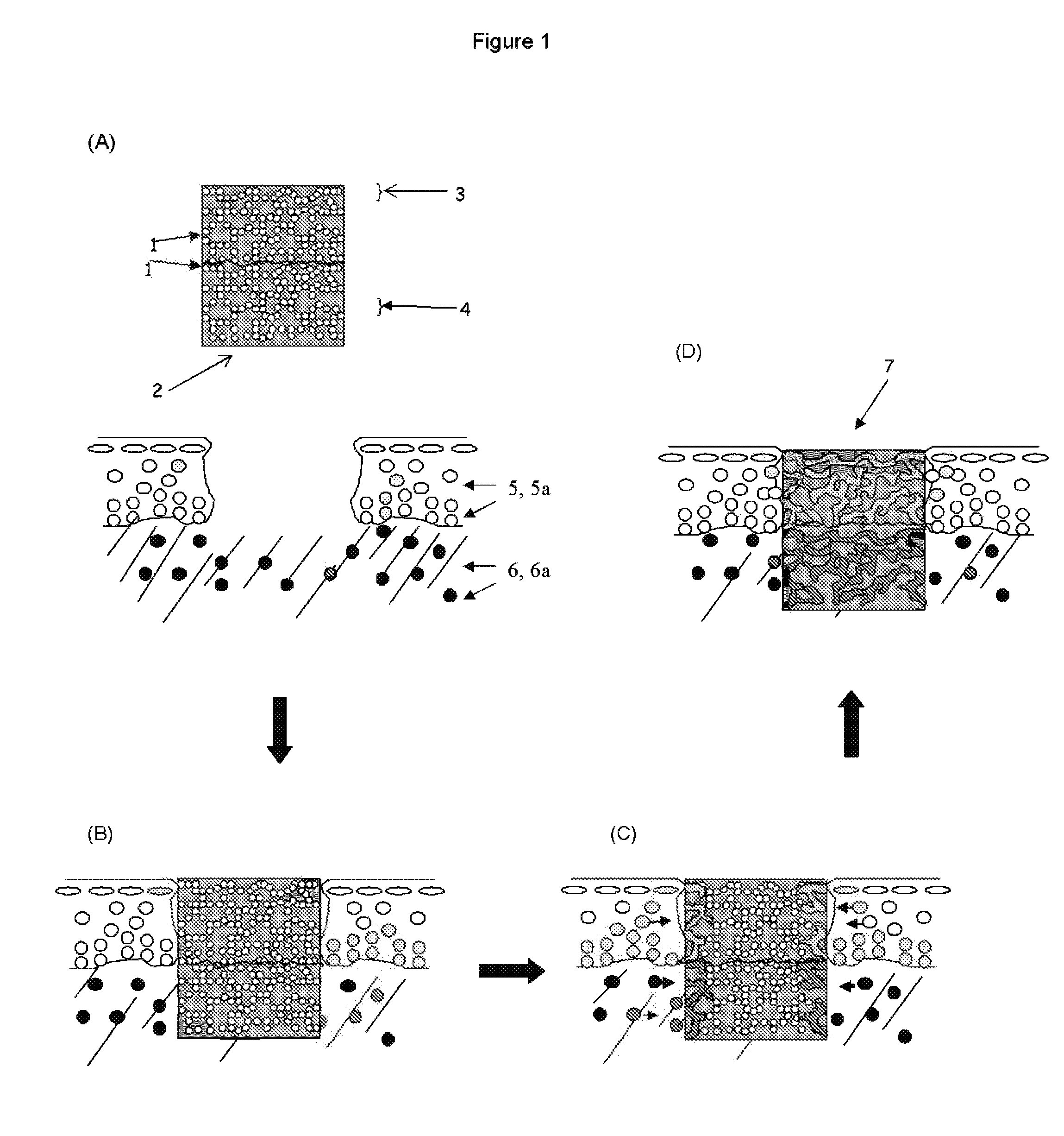 Porous non-biodegradable hydrogel admixed with a chemoattractant for tissue replacement