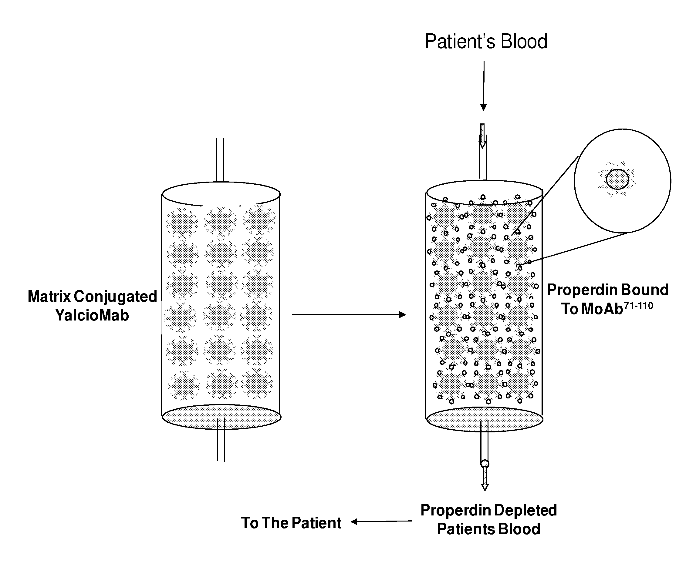 Device and method for inhibiting complement activation