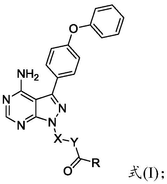 Preparation method and application of 4-phenoxyphenylpyrazolopyrimidine amide derivative