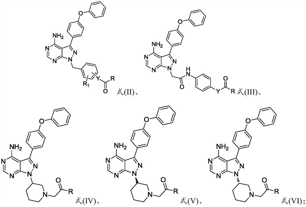 Preparation method and application of 4-phenoxyphenylpyrazolopyrimidine amide derivative
