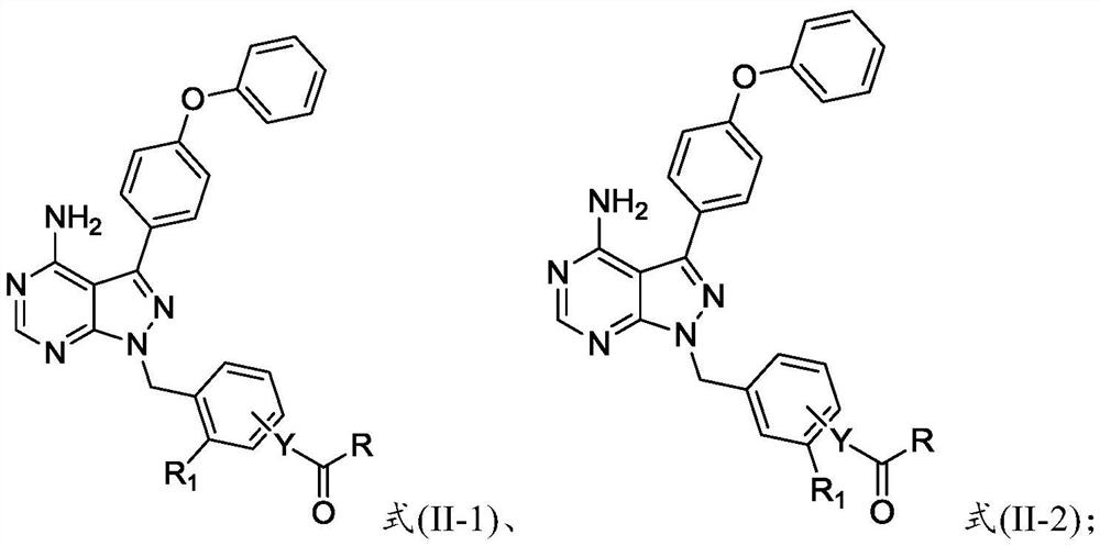 Preparation method and application of 4-phenoxyphenylpyrazolopyrimidine amide derivative