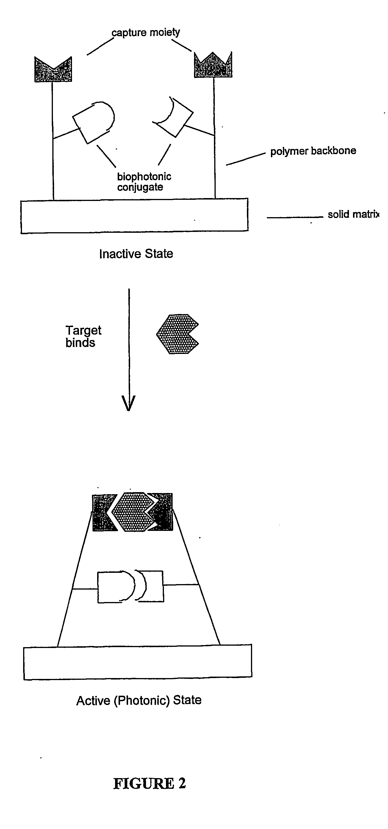 Biophotonic sensors and methods of use thereof