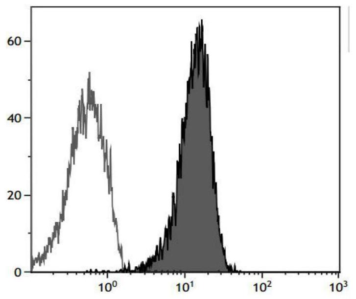 A method for large-scale induction of NK cell expansion in vitro