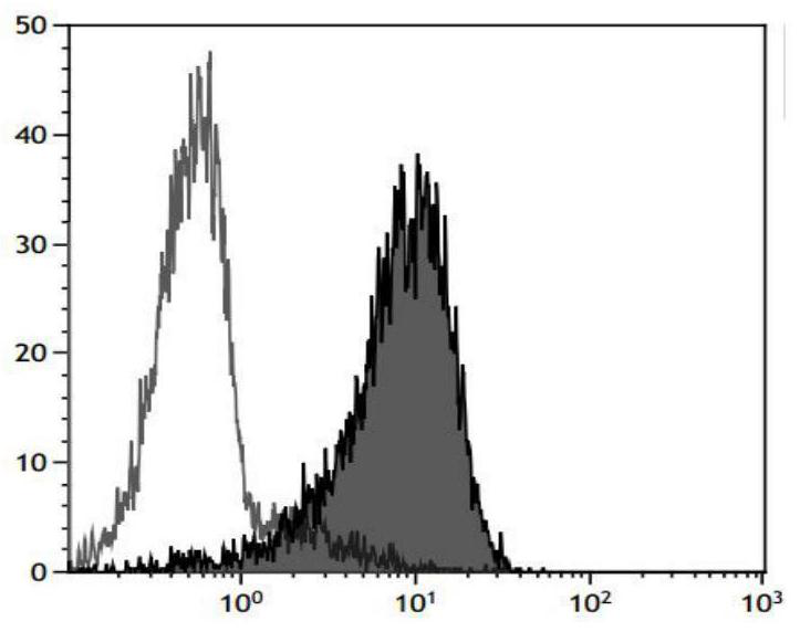 A method for large-scale induction of NK cell expansion in vitro