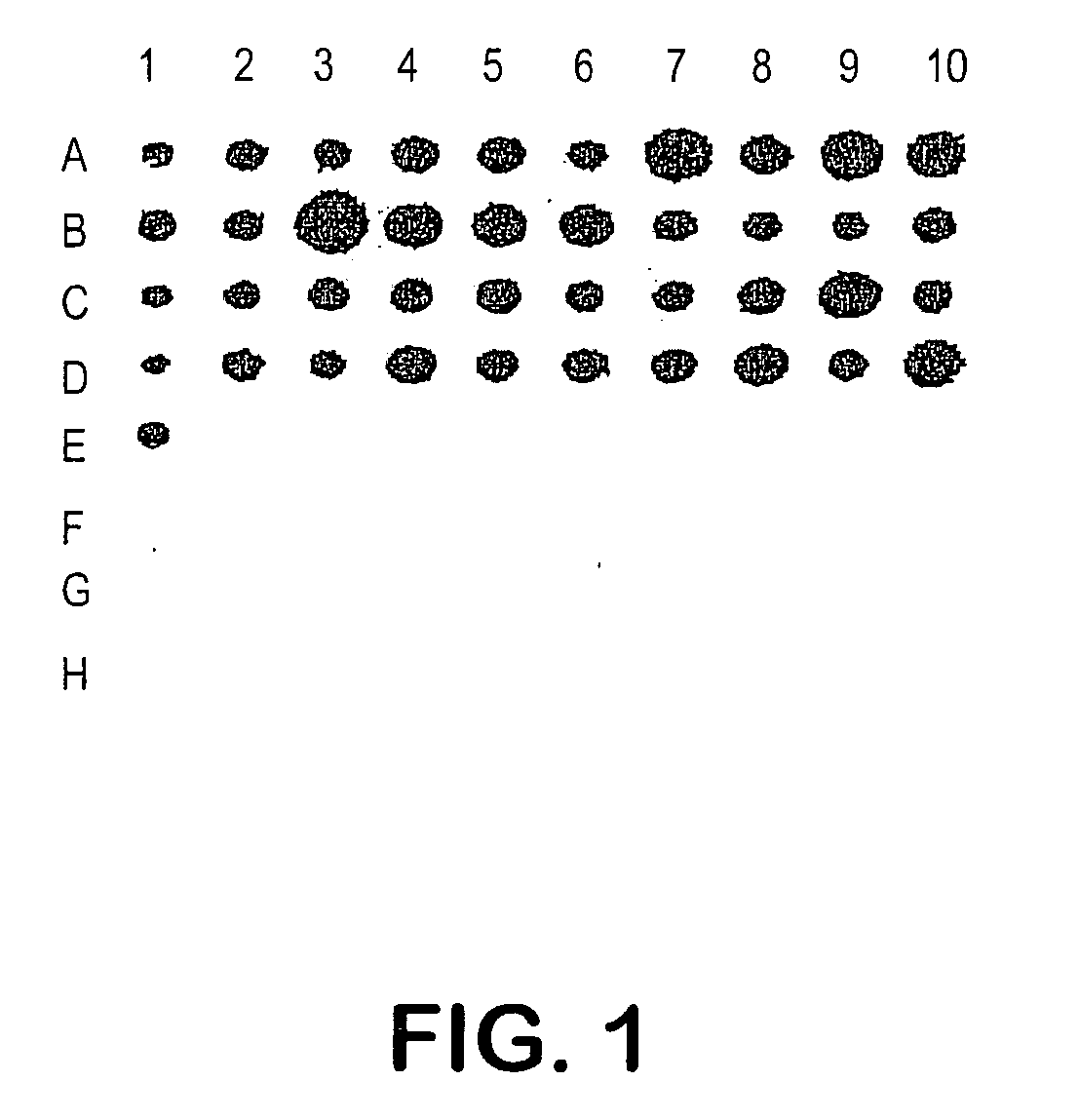 Group B streptococcus polypeptides nucleic acids and therapeutic compositions and vaccines thereof