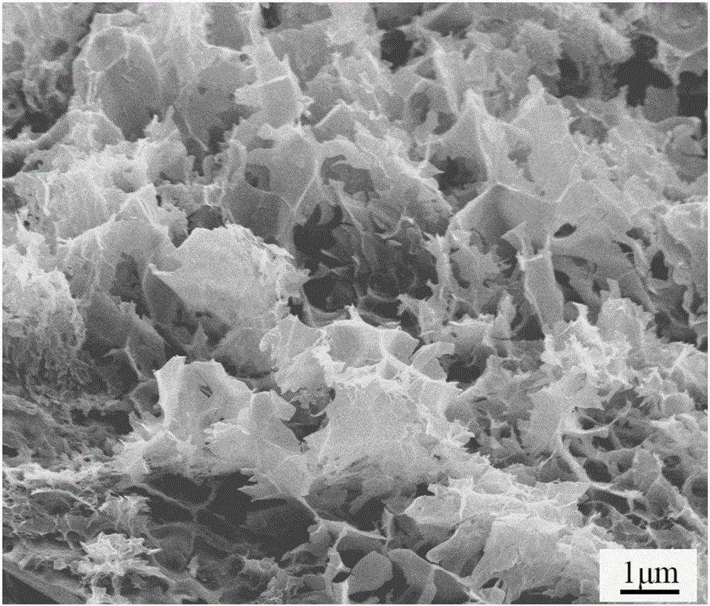 Preparation method for carbon nano-sheet matrix material and application of carbon nano-sheet matrix material in sodium-ion battery