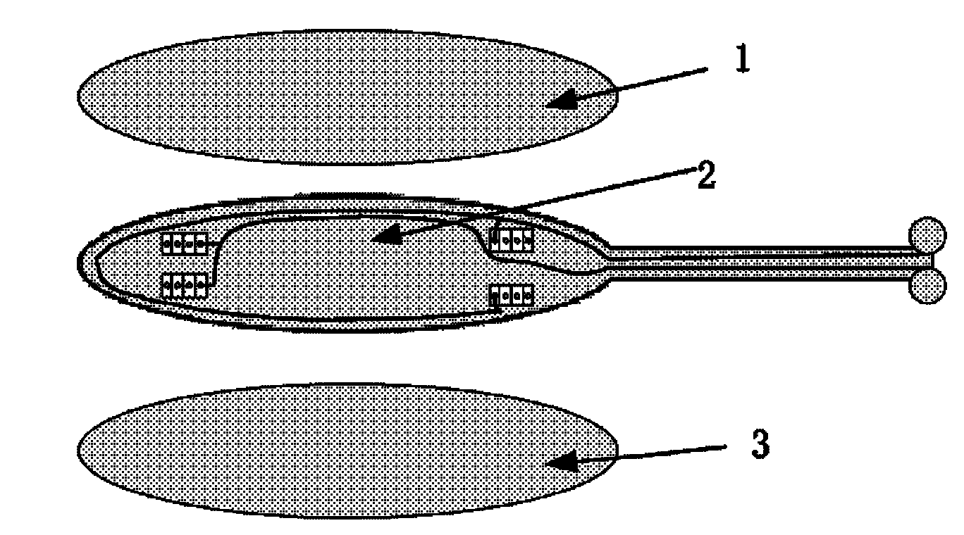 Contact lens type flexible microelectrode for recovery of facial paralysis