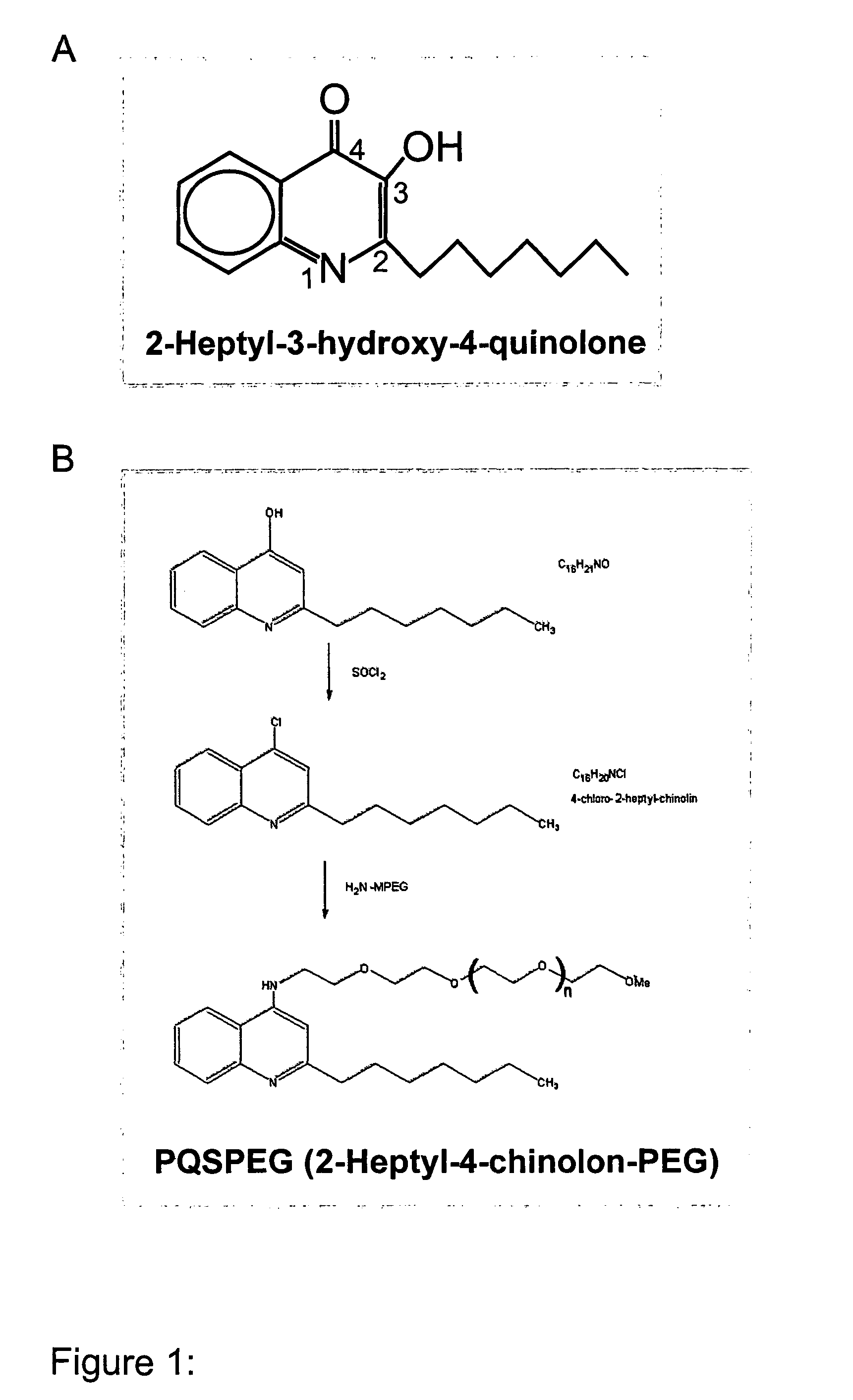 Pqs and its conjugates as adjuvants and their uses in pharmaceutical compositions