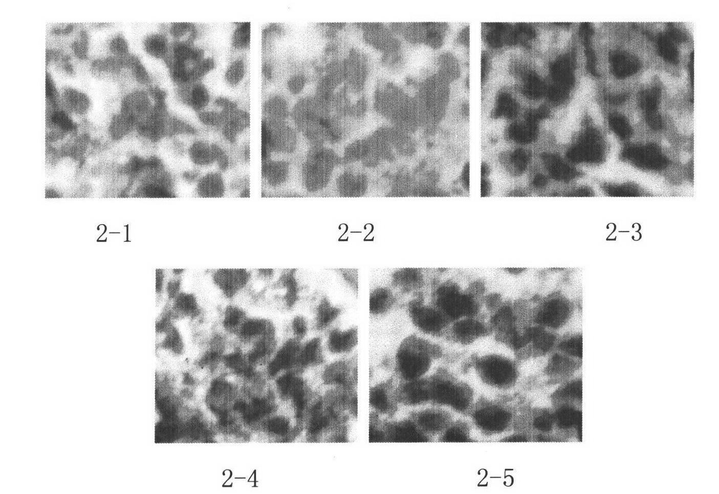 Fusion protein capable of inducing and activating cancer-targeted T cells, preparation method and use thereof