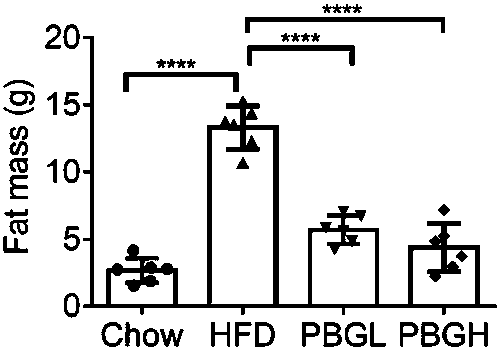 Extraction method of coriolus versicolor beta-glucan peptide and application of coriolus versicolor beta-glucan peptide to obesity or related diseases