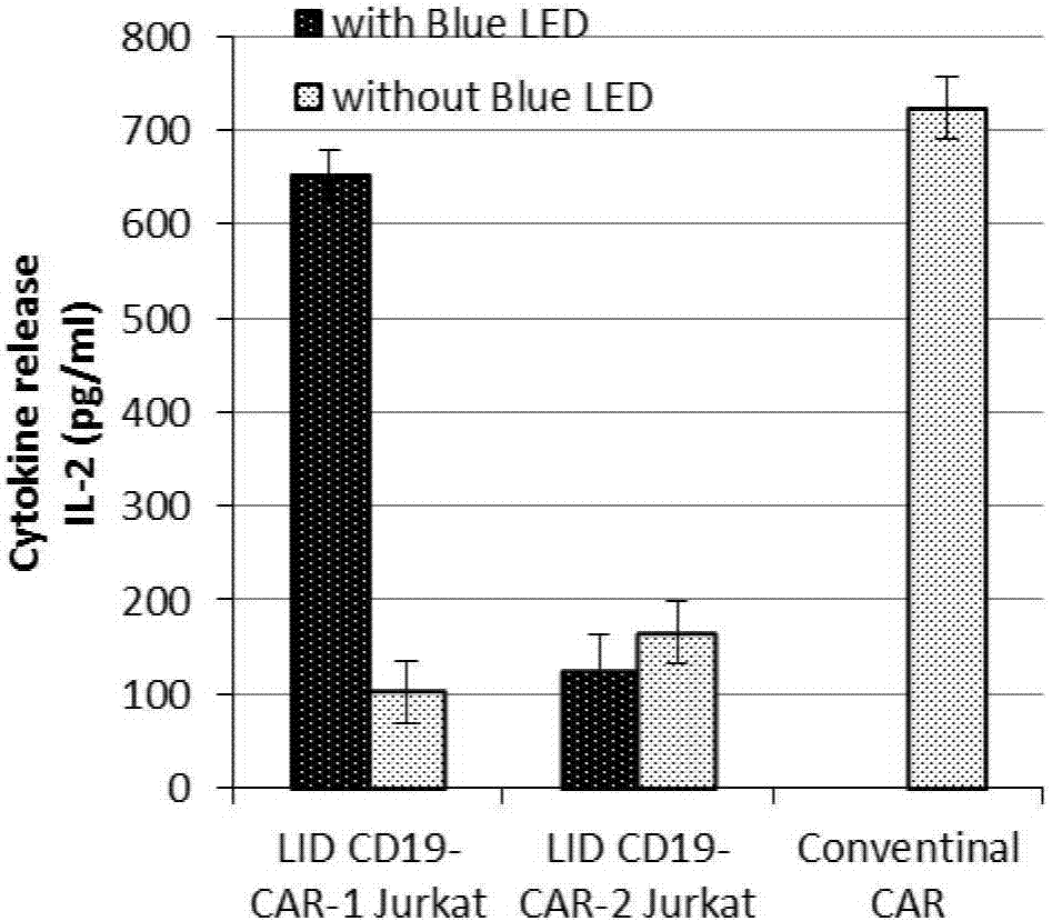 Photo-induced dimer type chimeric antigen receptor