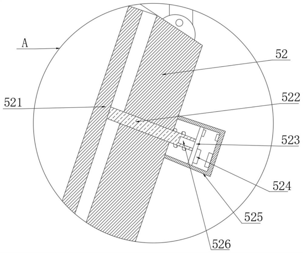 Agricultural greenhouse pesticide conveying and spraying device for tomato leaf mold treatment