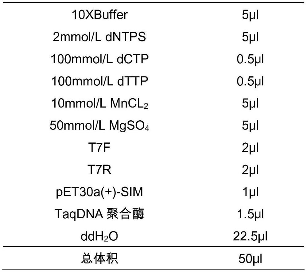 Sucrose isomerase mutant and application thereof
