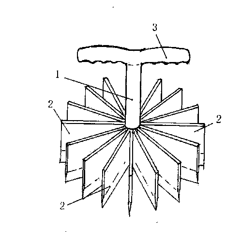 Multi-blade melon cutting cutter